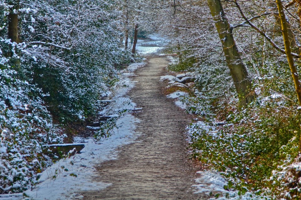 47 Wimbledon Common.jpg